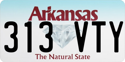 AR license plate 313VTY