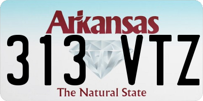 AR license plate 313VTZ