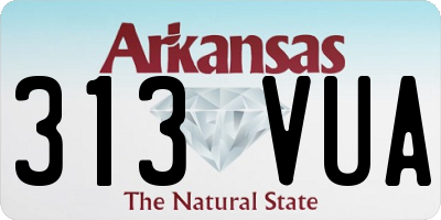 AR license plate 313VUA