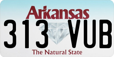 AR license plate 313VUB