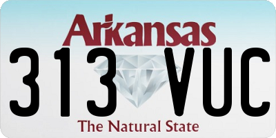 AR license plate 313VUC