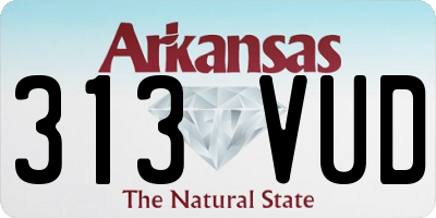 AR license plate 313VUD