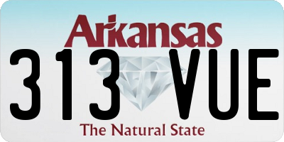 AR license plate 313VUE