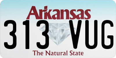 AR license plate 313VUG