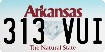 AR license plate 313VUI