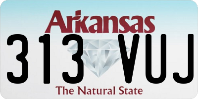 AR license plate 313VUJ