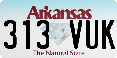 AR license plate 313VUK