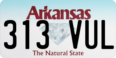 AR license plate 313VUL