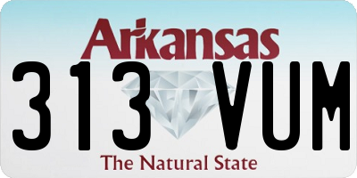 AR license plate 313VUM