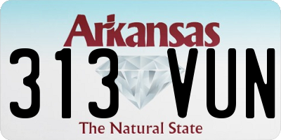 AR license plate 313VUN