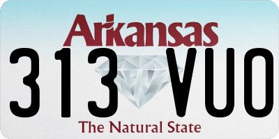 AR license plate 313VUO