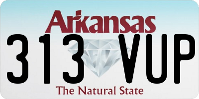 AR license plate 313VUP