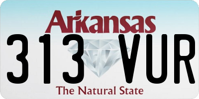 AR license plate 313VUR