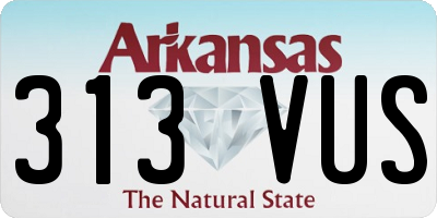 AR license plate 313VUS