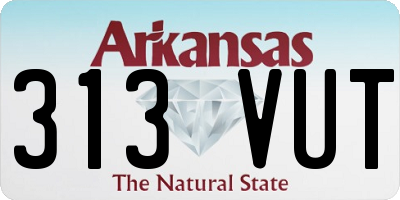 AR license plate 313VUT