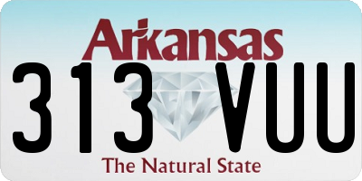 AR license plate 313VUU