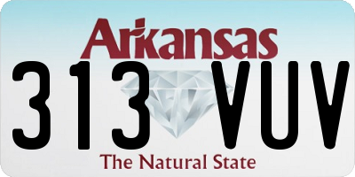 AR license plate 313VUV