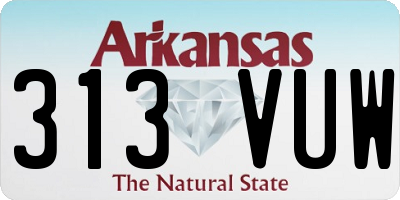 AR license plate 313VUW