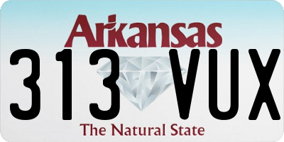AR license plate 313VUX