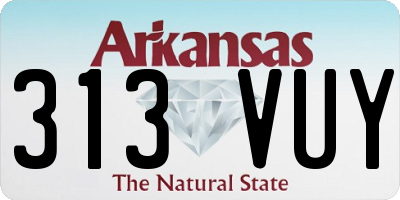 AR license plate 313VUY