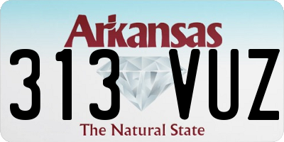 AR license plate 313VUZ