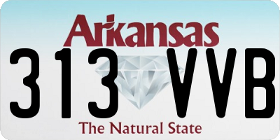 AR license plate 313VVB