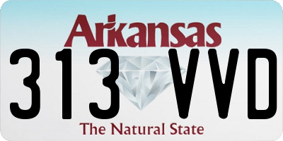 AR license plate 313VVD