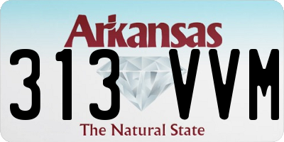 AR license plate 313VVM