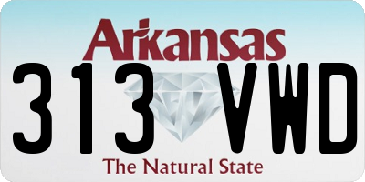 AR license plate 313VWD