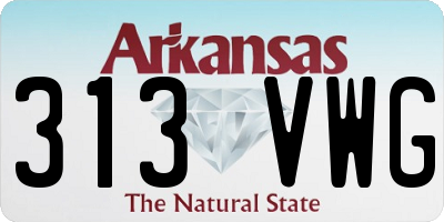 AR license plate 313VWG