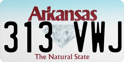 AR license plate 313VWJ