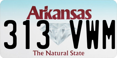 AR license plate 313VWM