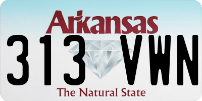 AR license plate 313VWN