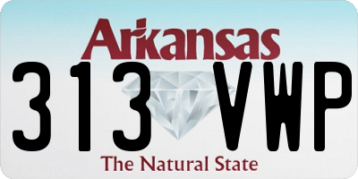 AR license plate 313VWP
