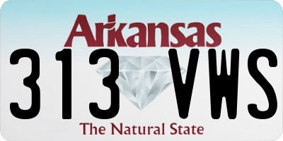 AR license plate 313VWS