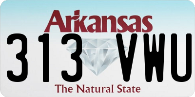 AR license plate 313VWU