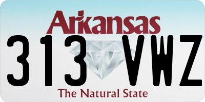 AR license plate 313VWZ