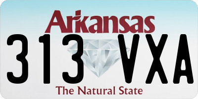 AR license plate 313VXA