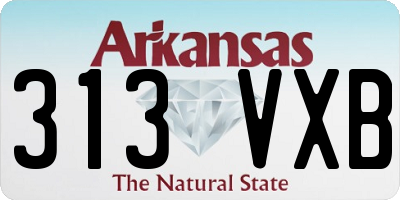 AR license plate 313VXB