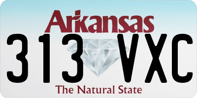 AR license plate 313VXC