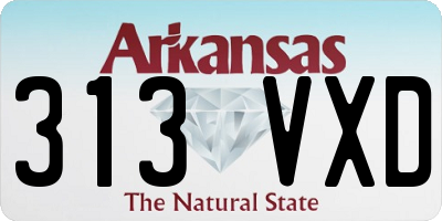 AR license plate 313VXD