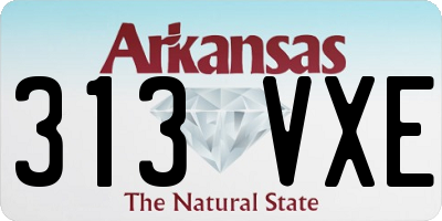 AR license plate 313VXE