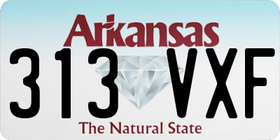 AR license plate 313VXF