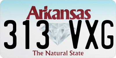 AR license plate 313VXG