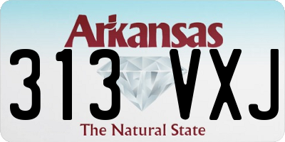 AR license plate 313VXJ