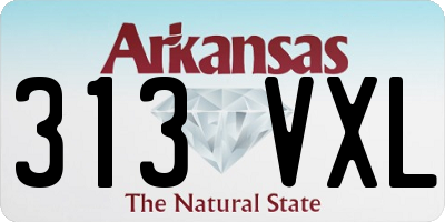 AR license plate 313VXL