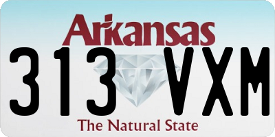 AR license plate 313VXM
