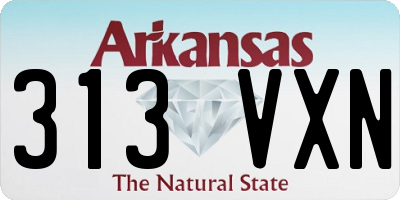 AR license plate 313VXN