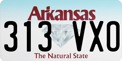 AR license plate 313VXO
