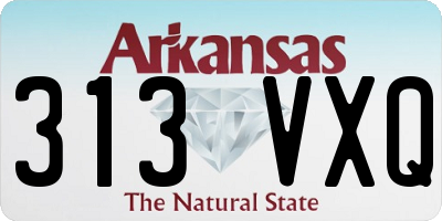 AR license plate 313VXQ